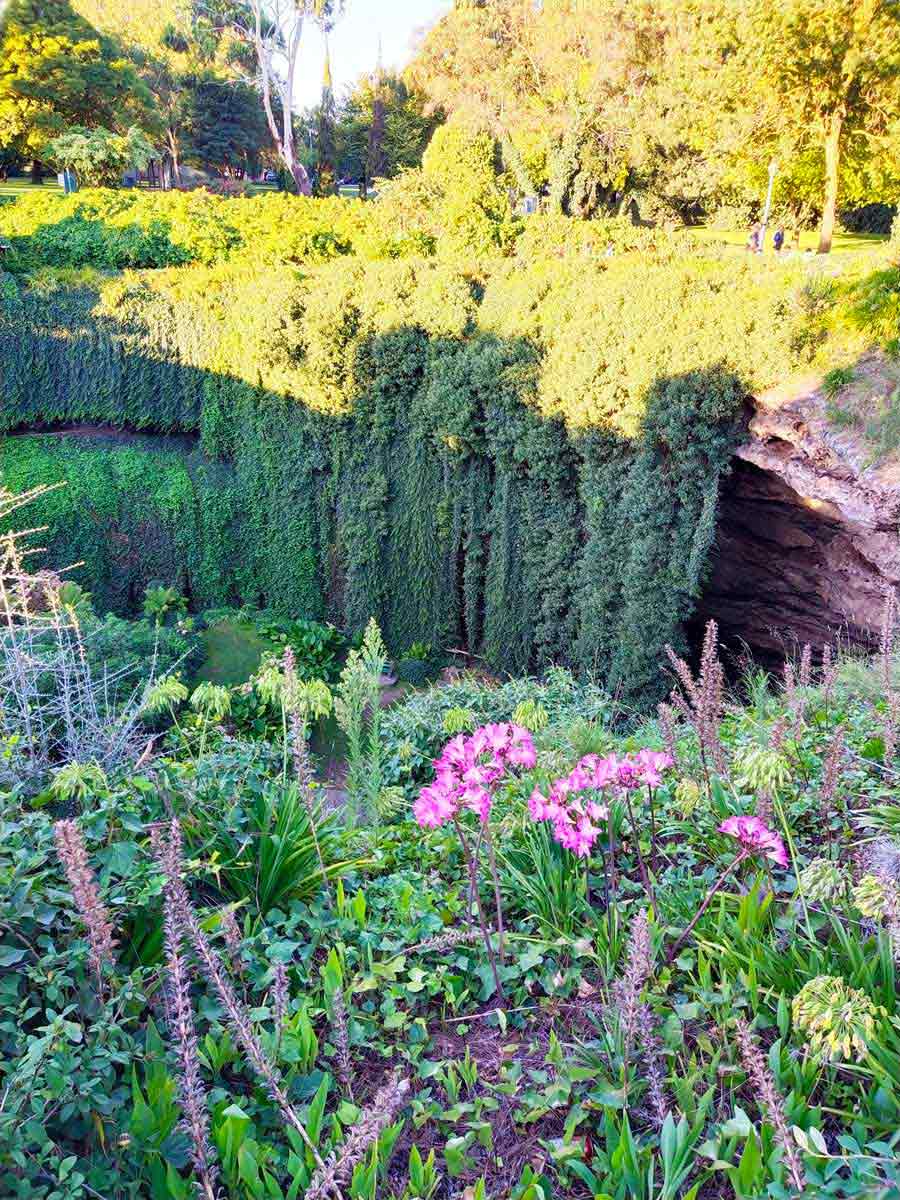 Beautiful plants within the gardens at Umpherston Sinkhole. Located in Mount Gambier, Limestone Coast, South Australia.