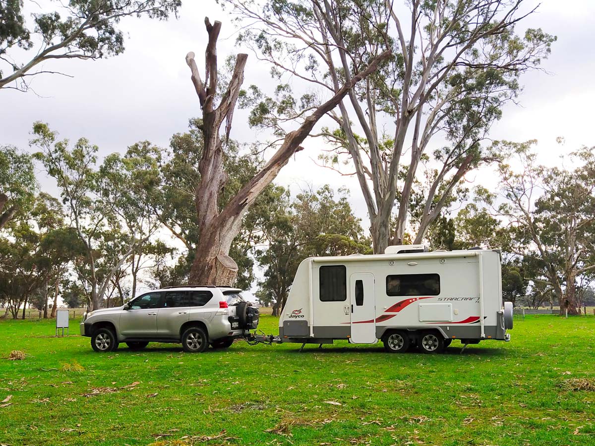 Ziggy the Starcraft and The Prado