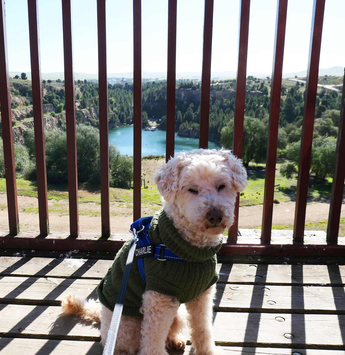 Charlie up at the Morphett’s Enginehouse balcony in the Monster Mine. Located in Burra, Clare Valley, South Australia.