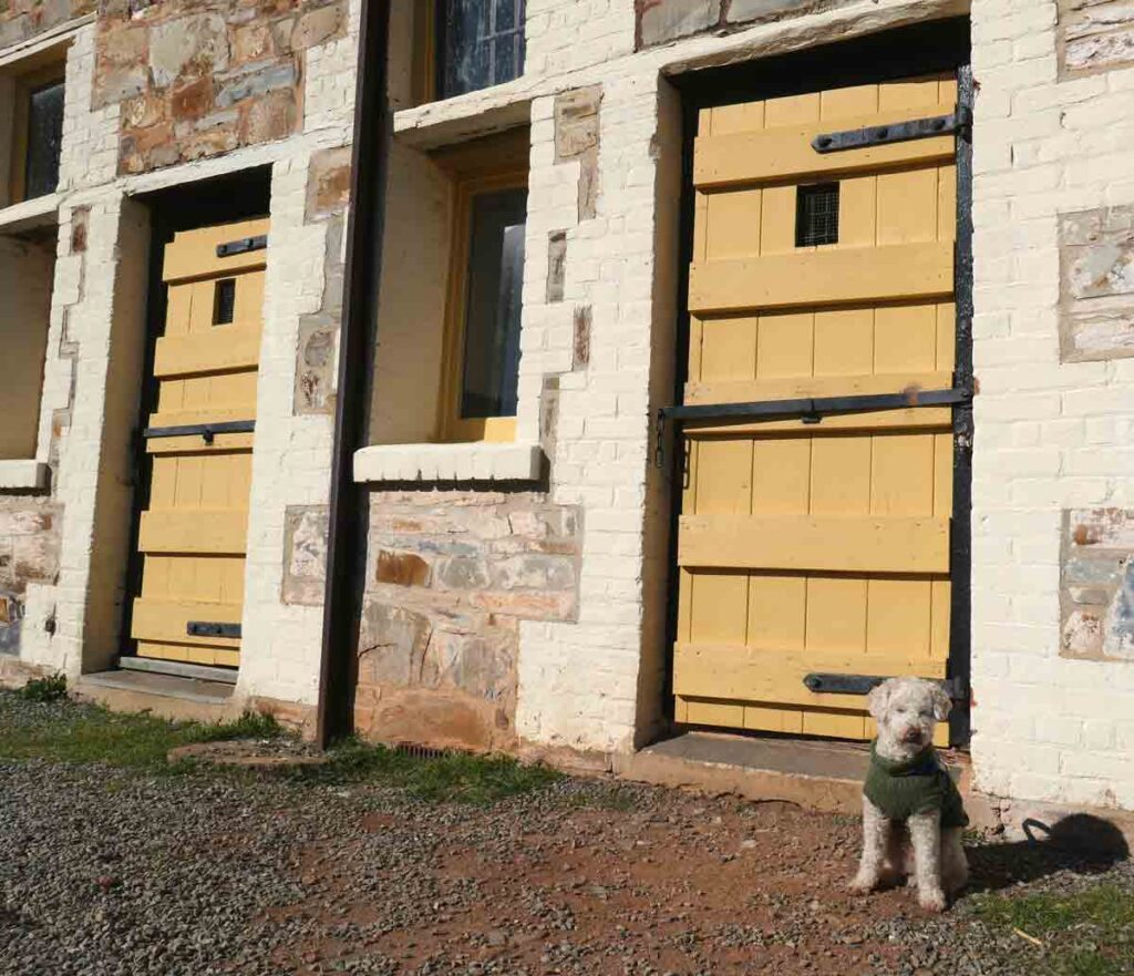 Charlie at Redruth Gaol. Located in Burra, Clare Valley, South Australia.