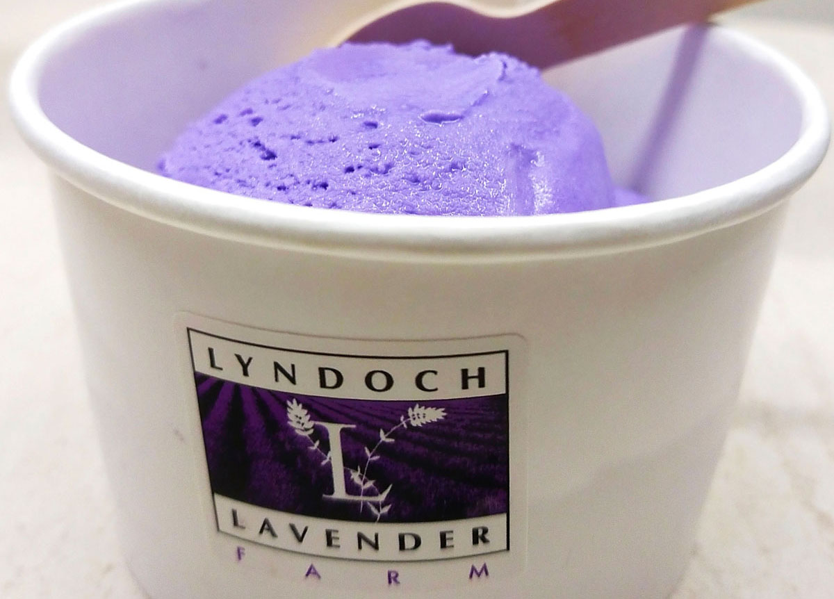 Lavender Ice-cream from Lavender Farm & Cafe