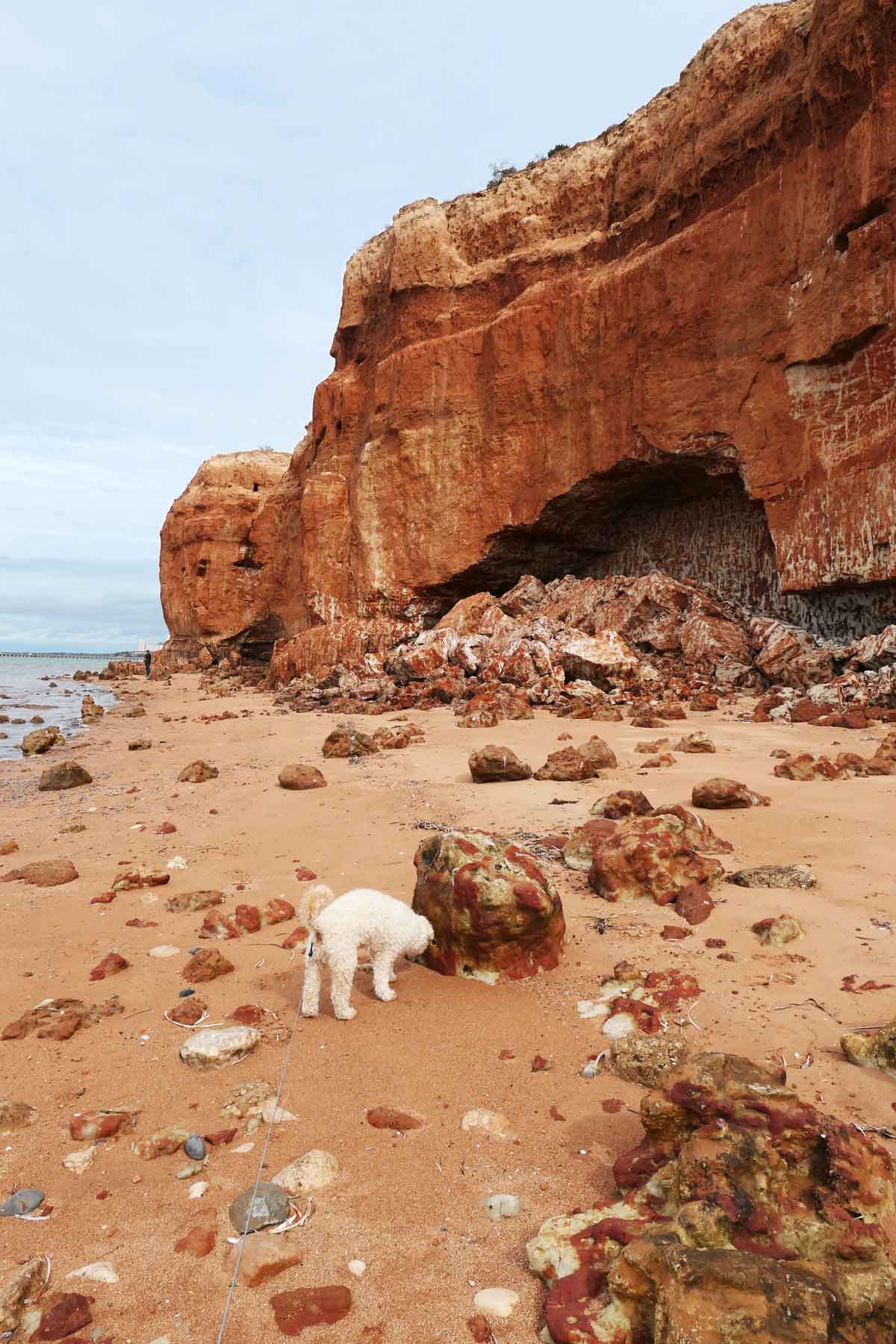 Exploring the red cliffs at Ardrossan