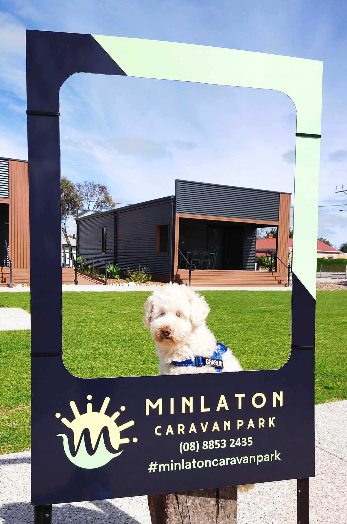 Travelling with a dog around Australia, Minlaton Caravan Park