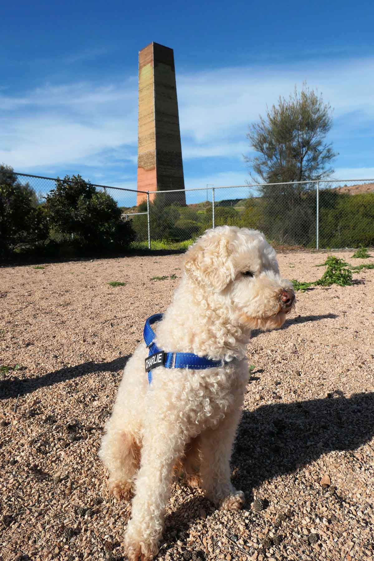 Wallaroo Dog Park with historic smelter chimney in the background