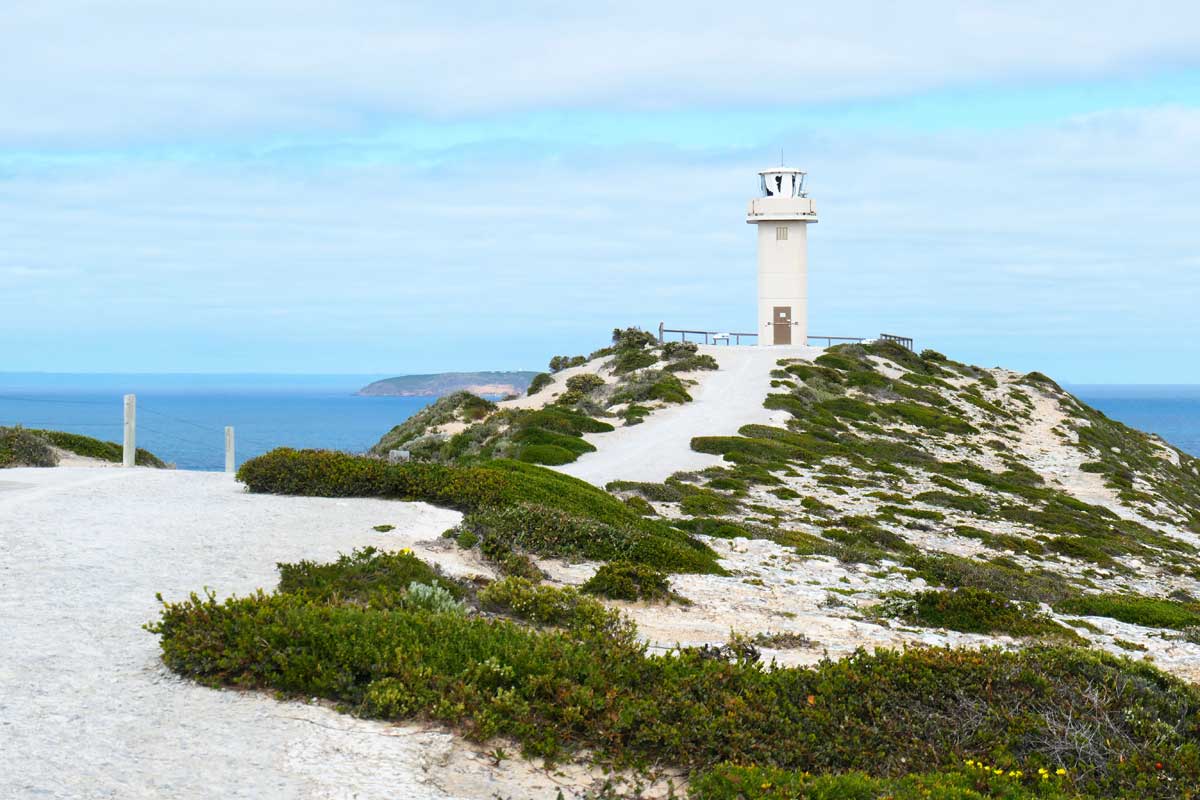 Cape Spencer Lighthouse 