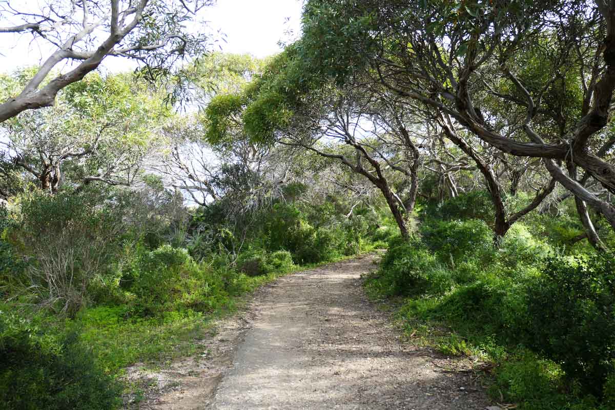 Pondalowie Trail to get to the beach