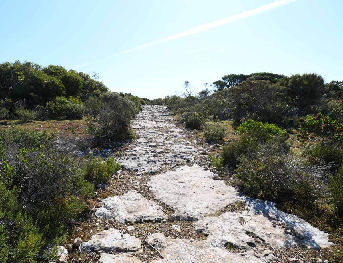 Rocky trail at Royston Head Hike