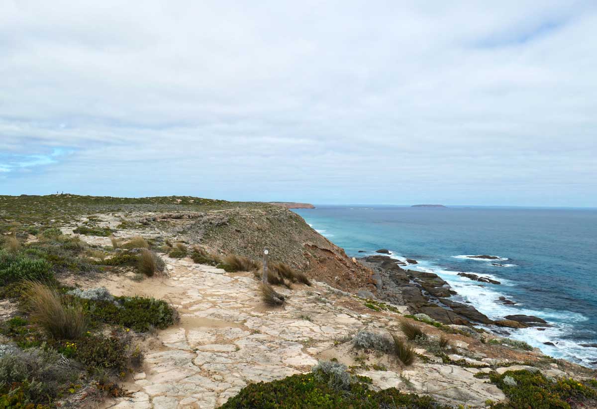 West Cape Lighthouse Headland Hike 