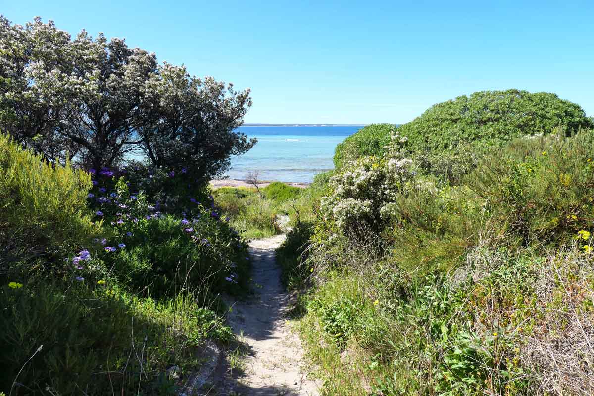 Pretty beach access path for Marion Bay Beach