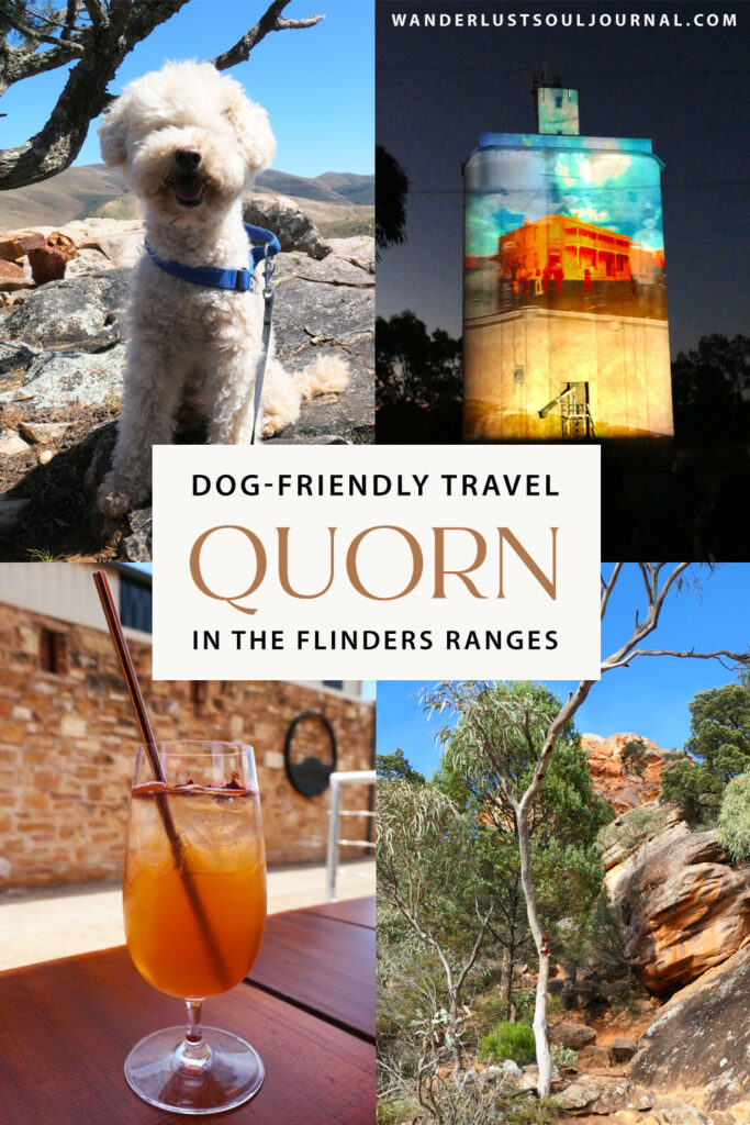 Pinterest Blog Cover Photo: Travel with your dog to Quorn