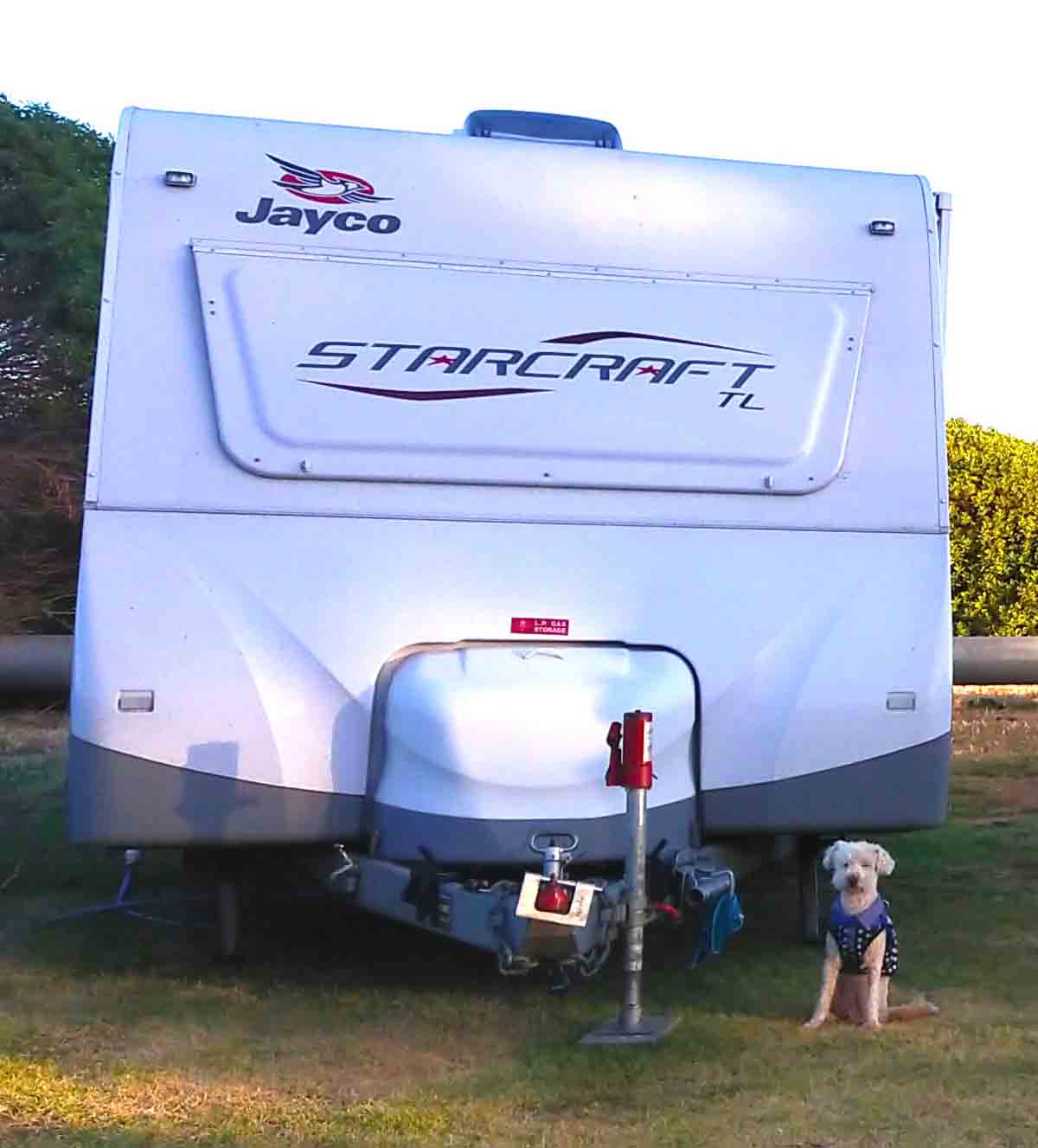 Charlie standing in front of the caravan. Located in Port Lincoln, Eyre Peninsula, South Australia.