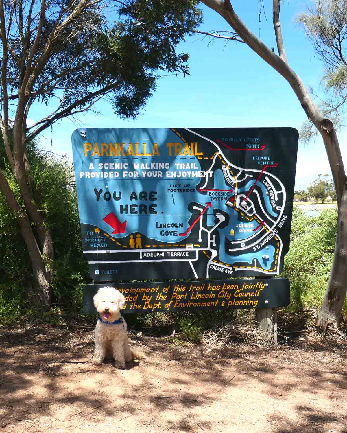 Charlie in front of cool retro map along Parnkalla Trail (second section). Located in Port Lincoln, Eyre Peninsula, South Australia.