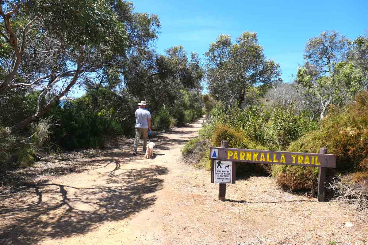 Hubby and Charlie walking the Parnkalla Trail (second section). Located in Port Lincoln, Eyre Peninsula, South Australia.