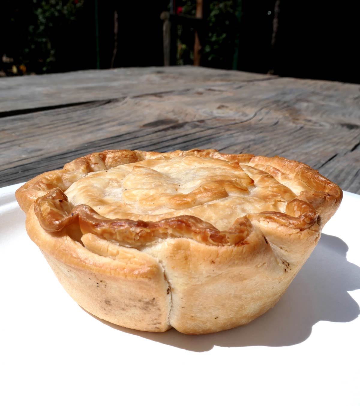 Chicken, Wine and Camembert Pie from Stone Hut Bakery, South Australia