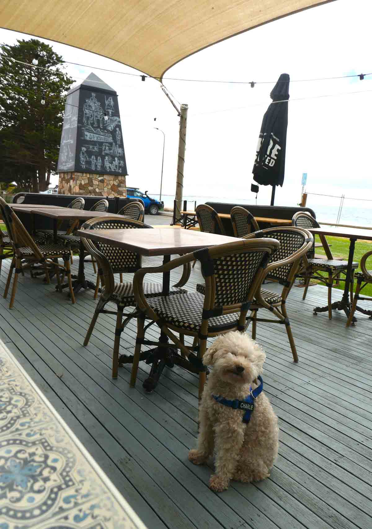 Charlie at BlueWater Cafe outdoor deck area. Located in Tumby Bay, Eyre Peninsula, South Australia.