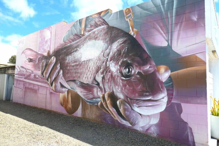 Tumby Bay Street Art 16 - Snapper by Smug. Located in Tumby Bay, Eyre Peninsula, South Australia.