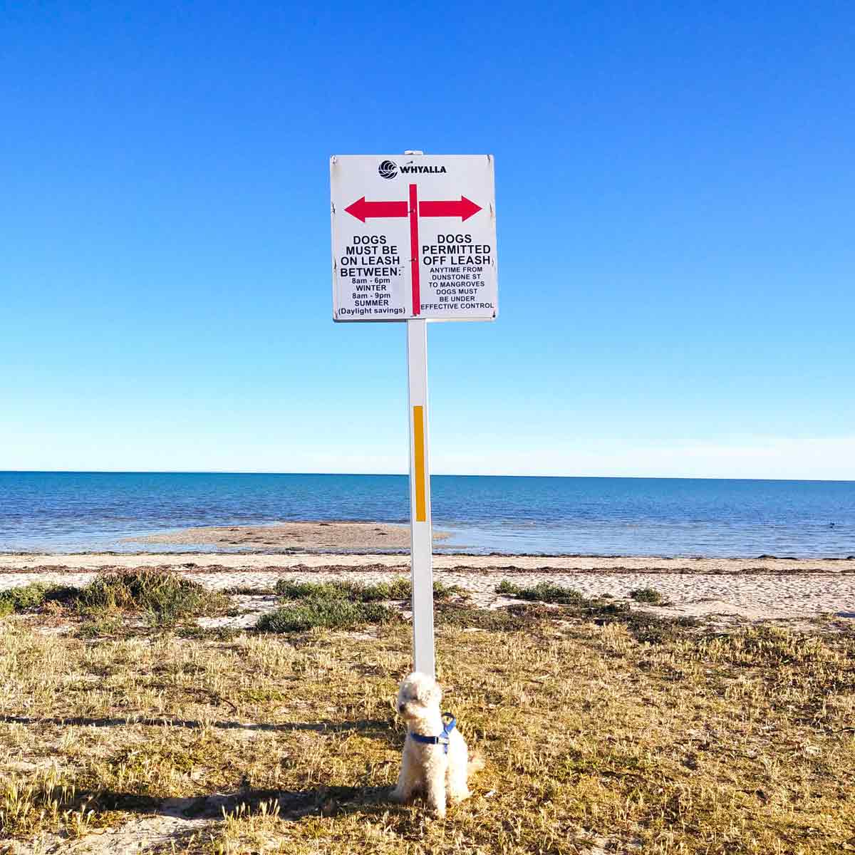 Whyalla Foreshore Discovery Park located along a dog-friendly beach, Eyre Peninsula, South Australia