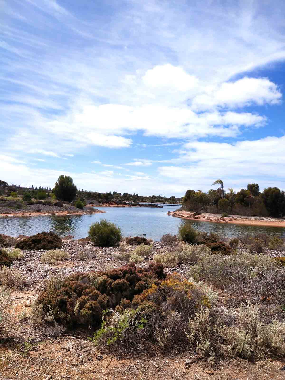 Whyalla Wetlands in the Eyre Peninsula, South Australia