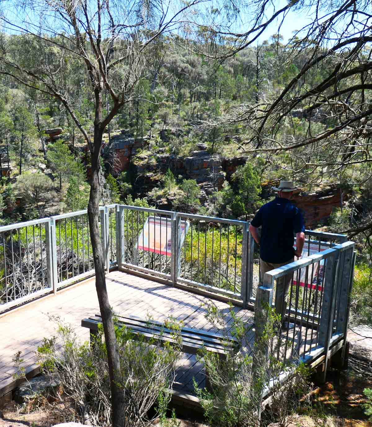 Ali Lookout at Alligator Gorge in Wilmington, South Australia
