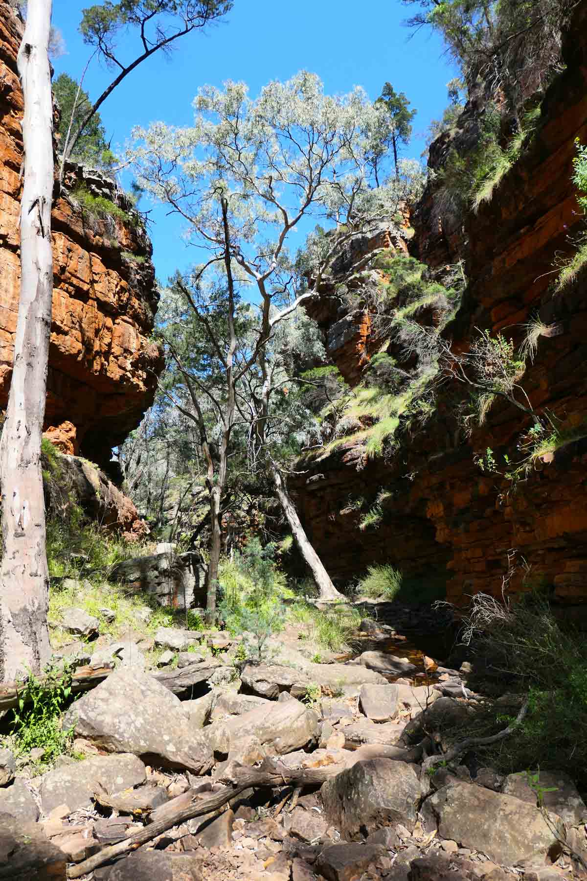 Walking along the creek bed at Alligator Gorge in Wilmington, South Australia