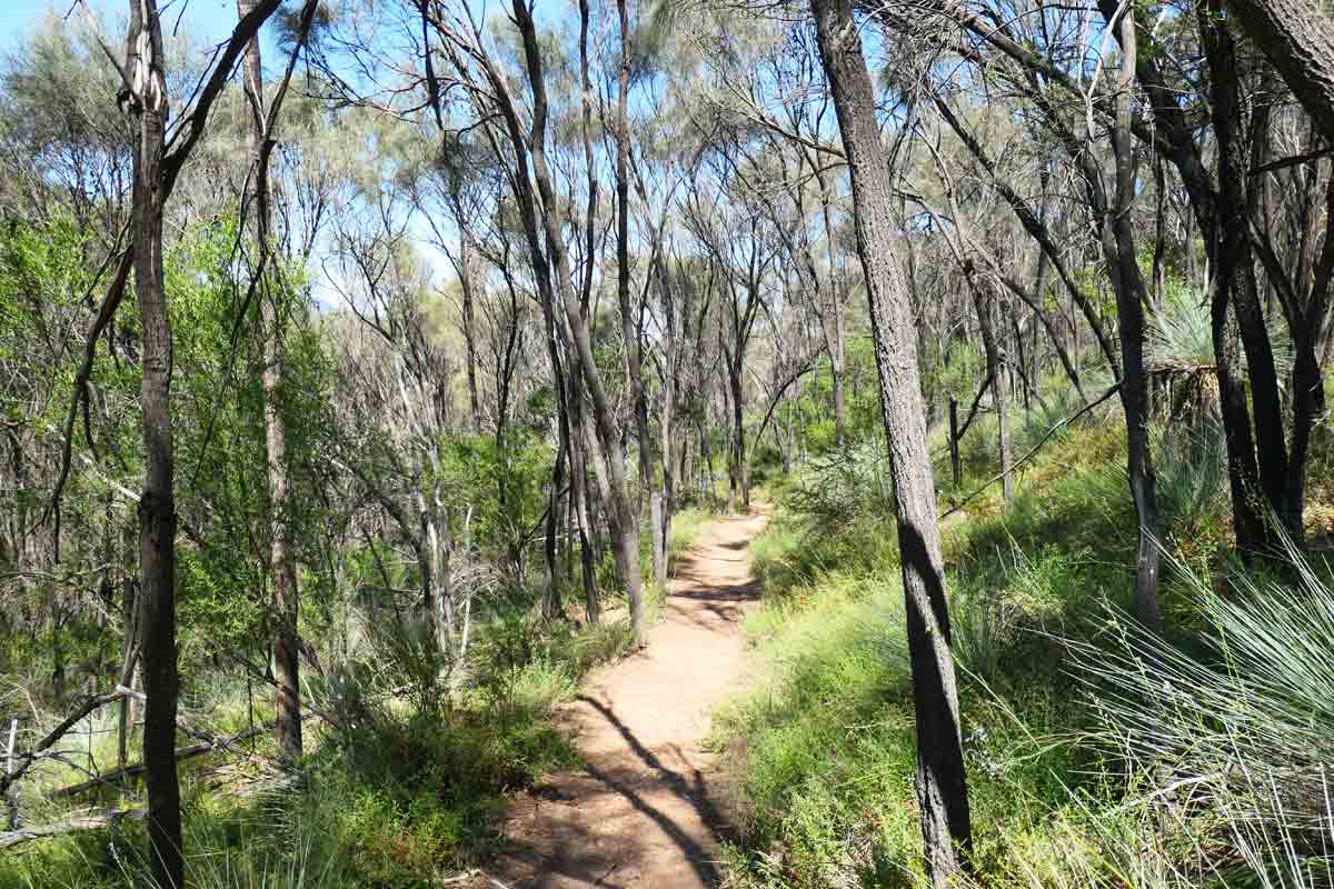 Walking along the fire track at Alligator Gorge in Wilmington, South Australia