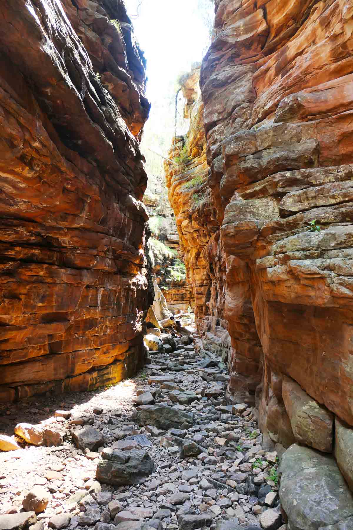 The Narrows at Alligator Gorge in Wilmington, South Australia
