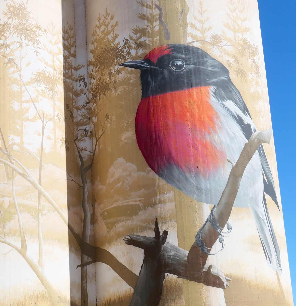 Close up of Wirrabara Silo Art (bird), South Australia