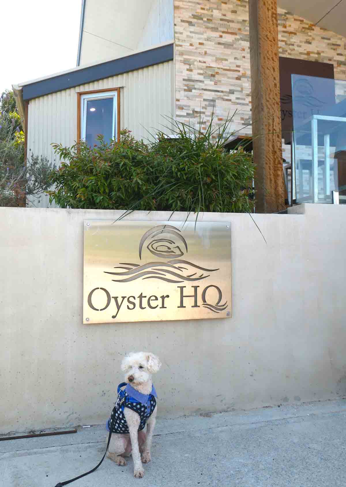 Charlie in front of Oyster HQ. Located in Coffin Bay, Eyre Peninsula, South Australia.