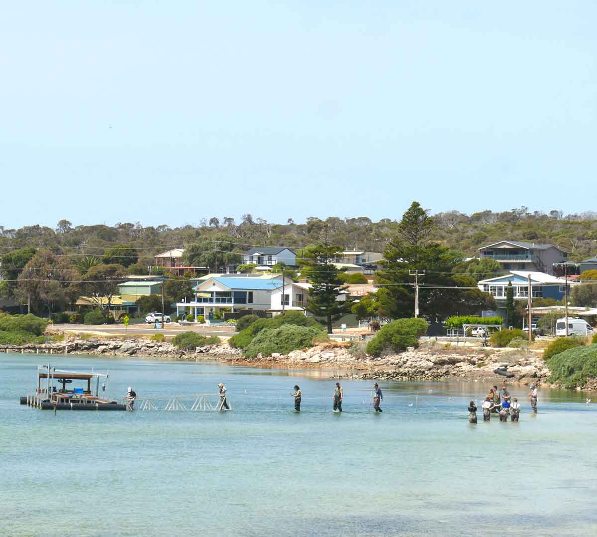 People on a oyster farm & tasting tour seen from Oyster HQ. Located in Coffin Bay, Eyre Peninsula, South Australia.