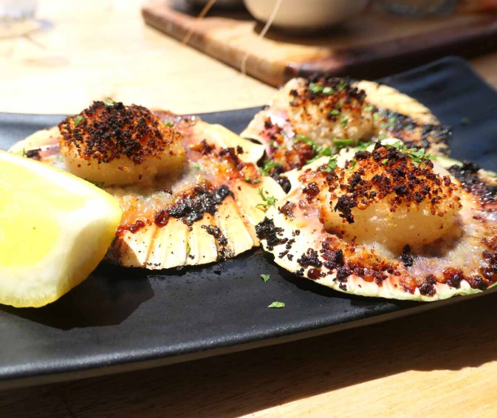 Scallops at Oyster HQ. Located in Coffin Bay, Eyre Peninsula, South Australia.