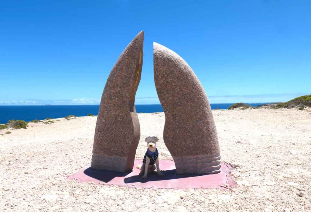 Charlie posing with lobster claws sculpture, along Clifftop Drive. Located in Elliston, Eyre Peninsula, South Australia.