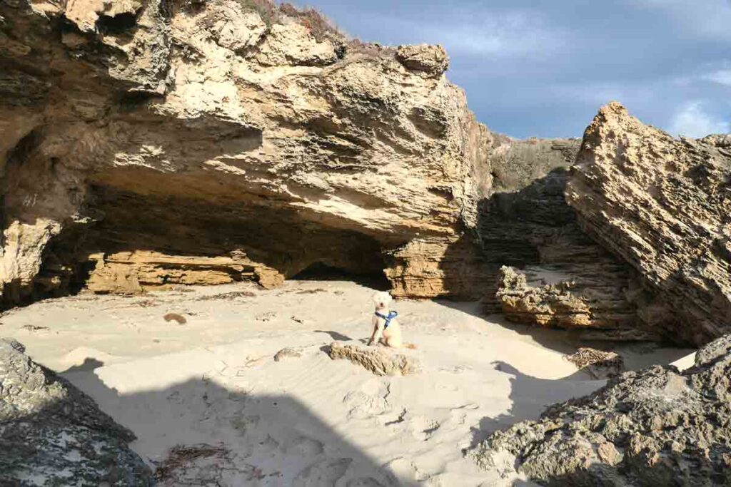 Charlie at one of the sea caves. Located in Elliston, Eyre Peninsula, South Australia.