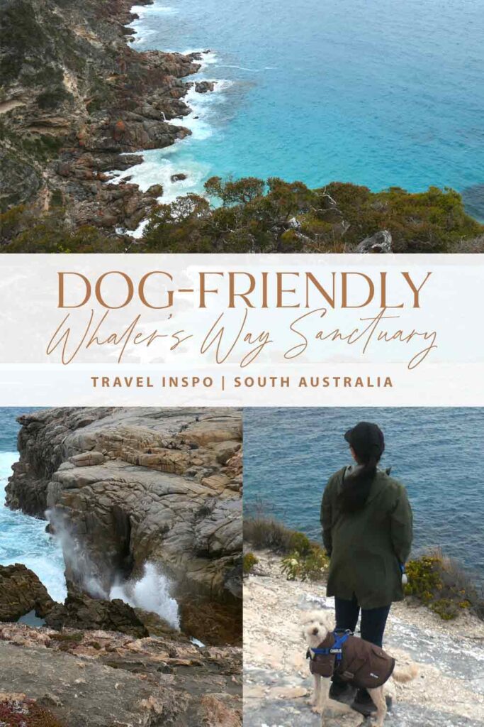 Pinterest cover with various locations from Whaler's Way. Eyre Peninsula, South Australia.