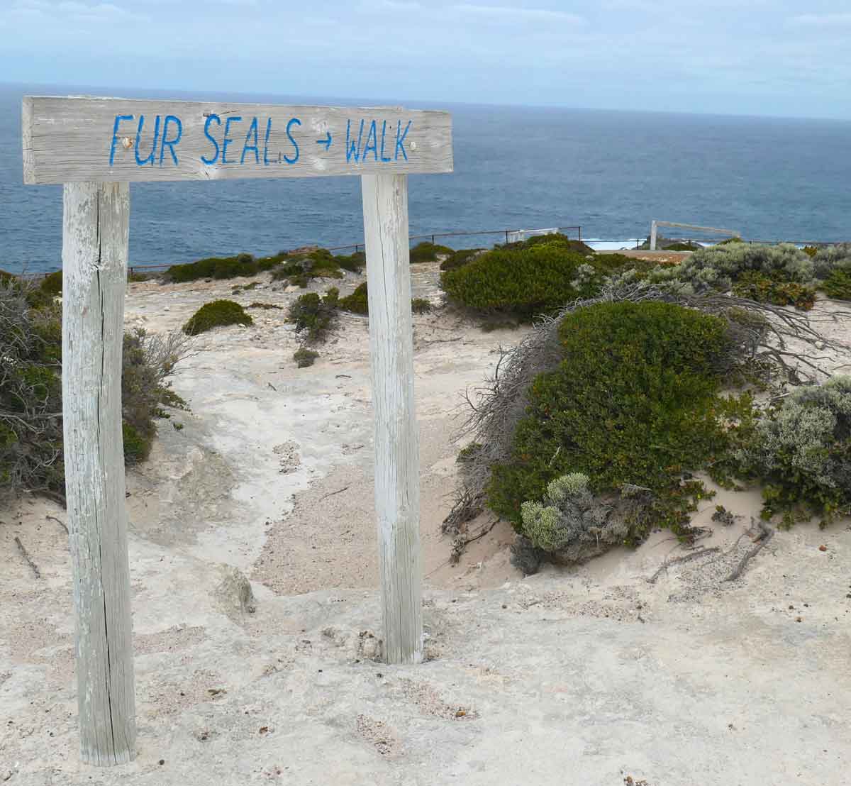Sign for "fur seals" at Cape Wiles. Located in Whaler's Way Sanctuary, Eyre Peninsula, South Australia.