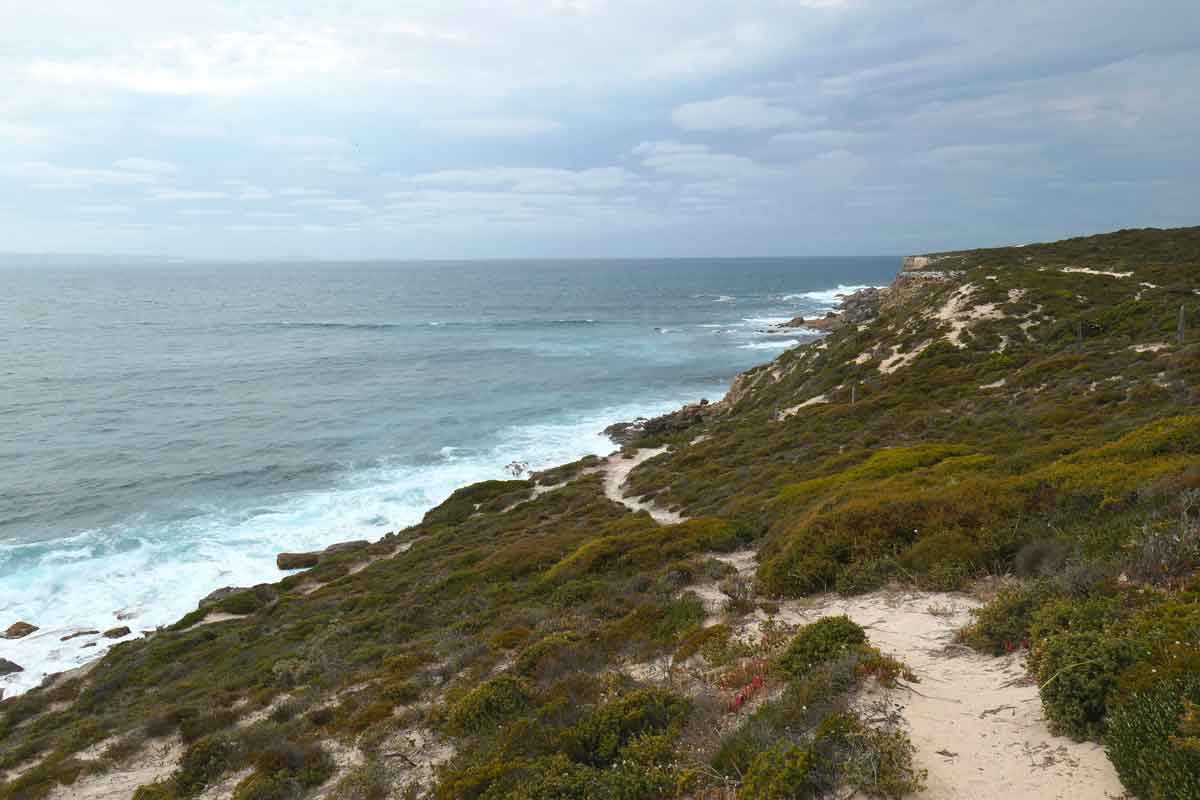 View of a trail at Pelamis Point. Located in Whaler's Way Sanctuary, Eyre Peninsula, South Australia.