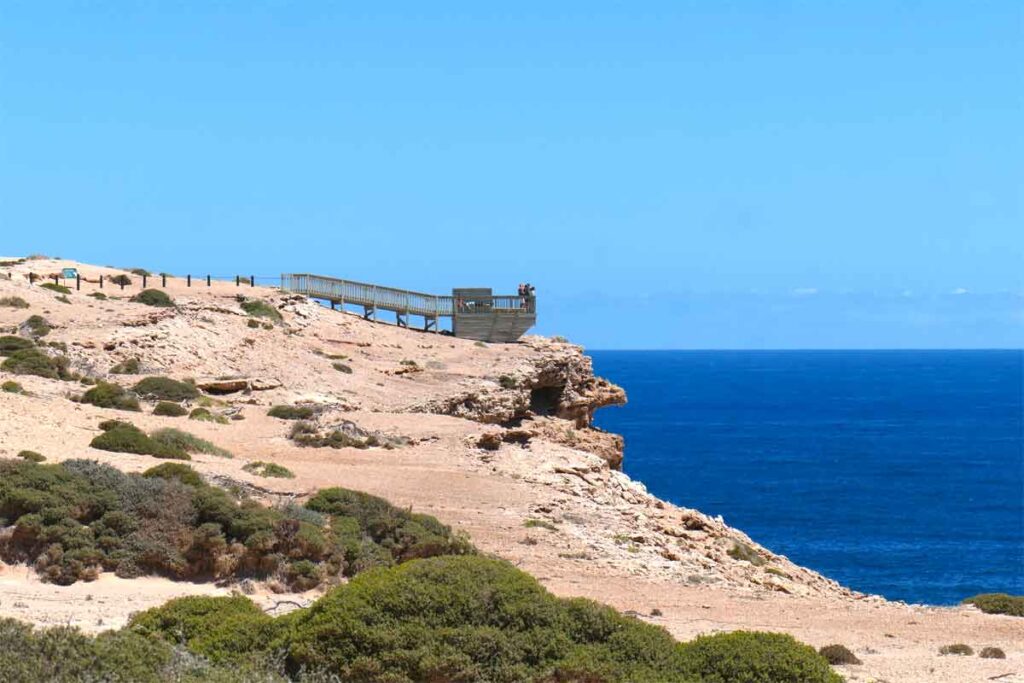 Viewing platform overlooking the sea lion colony. Located at Point Labatt Conservation Park, near Streaky Bay, Eyre Peninsula, South Australia.
