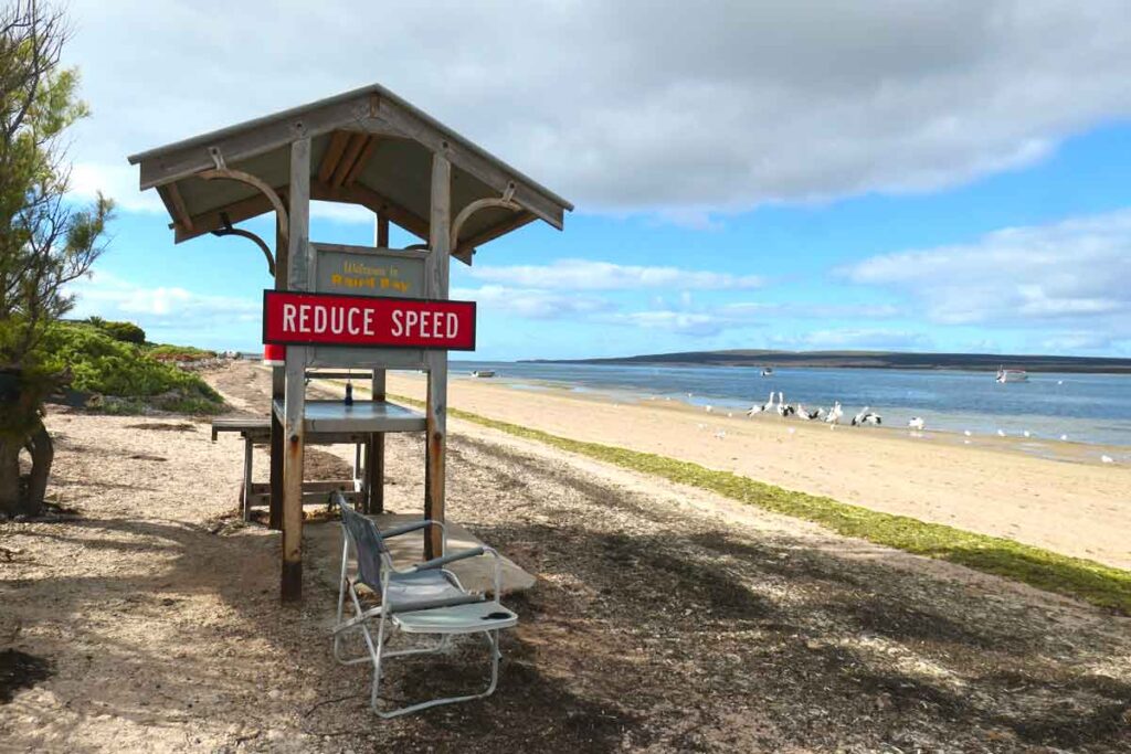 The beach is part of the road system. Located in Baird Bay, Eyre Peninsula, South Australia.